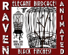 BLACK FINCH BIRDCAGE!