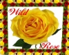 The Wild Rose Rug