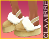 !C Slippers