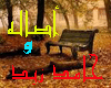 [7p] Asala _ 7amed