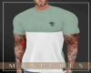 Full Set shirt v5