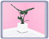 Kids Planter