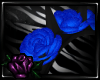 [C] Rose Crown Blue