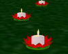 Floating Candles Lillys