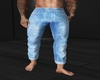 Street Pants Denim