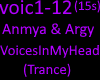 Anyma Voices In My Head