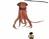 squid animated