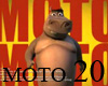 Moto Moto
