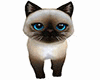 siamese cat pet