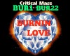 Burnin Love Critical Mas