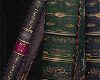 Mystic Med Bookrow V1