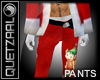 [8Q] SANTA Pants+Boots