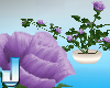 Fleuriste Purple Roses T