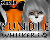 Whiskers :Tango Bundle F