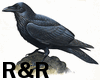 R&R Black Raven