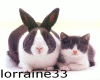 bunny and kitten