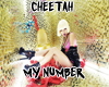 1M1 Cheetah - My Number