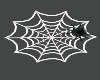 !R! Spider Web W Light 1