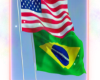 contout USA+BR