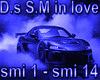 D.s S.M in love  mix