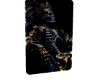 Skull 2.5K