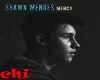 SHAWN MENDES - MERCY