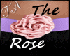 TA`Shy`s Pink Rose