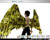 Digital Demon Wings(ANI