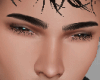 Cejas r3