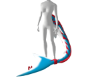 Orca tail