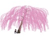 AAM-Pink Willow