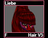 Liebe Hair F V6