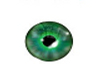 Emrald Green eyes