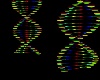 Multicolor DNA Lights