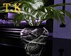 T.K Reaper Plant