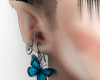 butterfly earrings F