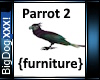 [BD] Parrot 2