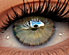 Dafne Eyes Green