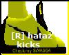 [R] Hat3Rz kicks