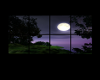 Moonlight Window