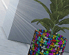 金 CH Plant 02