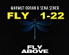 Flye Above - Remix