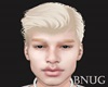 BN asteri albin