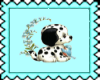 Dalmation 1 50 by 50