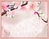 ☾ Sakura Lace 