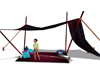 carpa