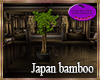 japan bamboo