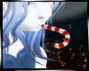 Aster CandyCane