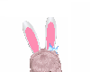 Pastel Bunny Ears
