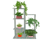 Plant Shelf